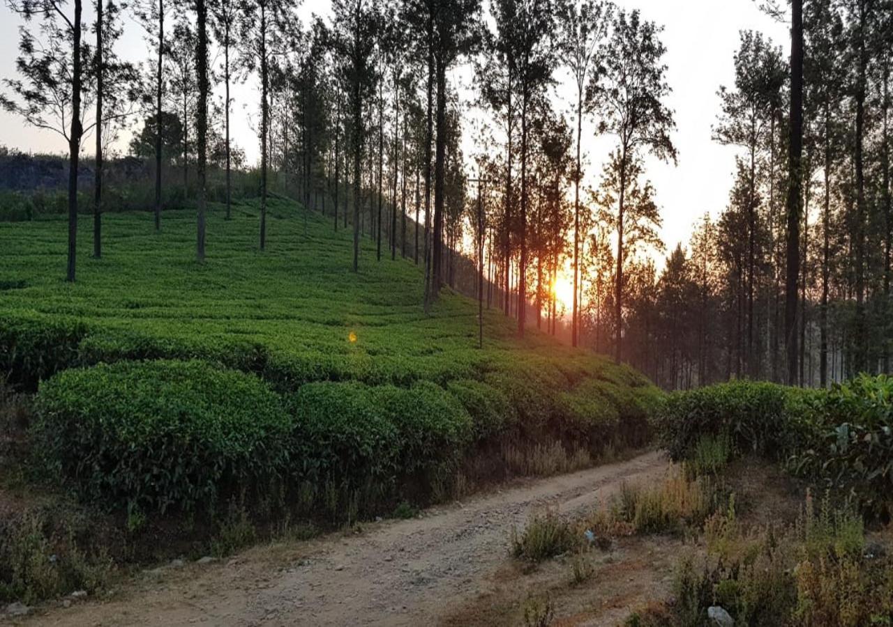 Glad Valley Wayanad By Lexstays-Tea Estate Villa Kültér fotó